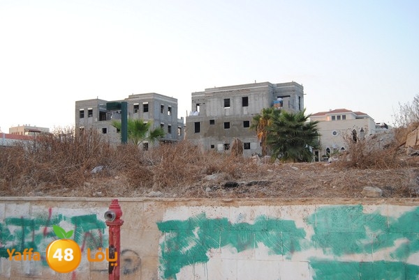 iskan nozha 820 (7).JPG